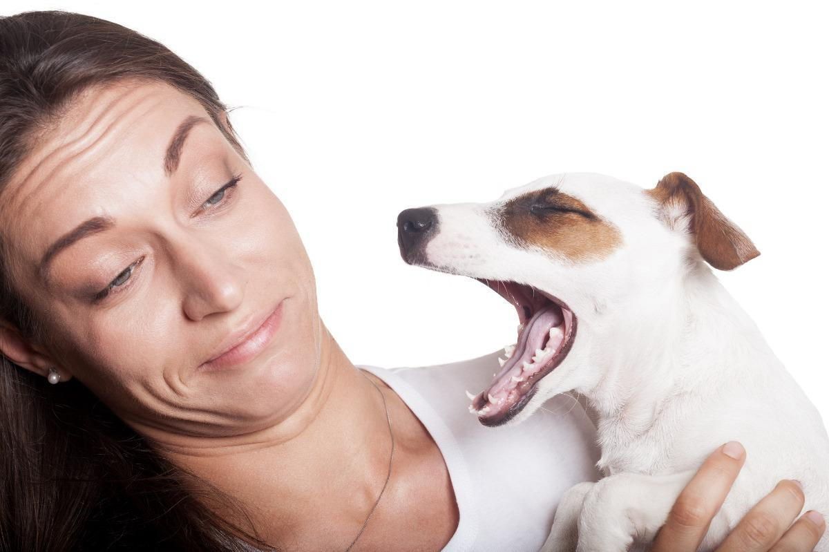 A woman is holding a small dog with its mouth open