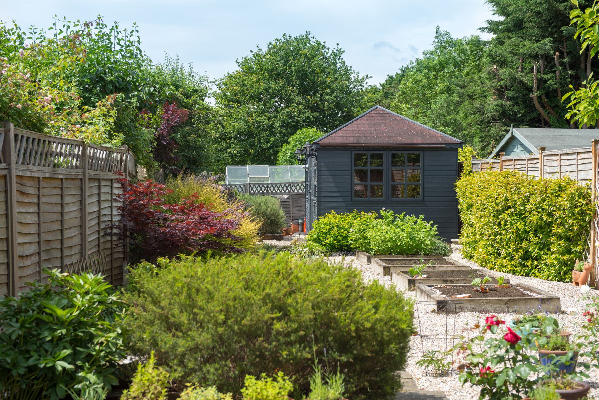 Garden with shrubs, flowers, and a dark wooden shed in the background.