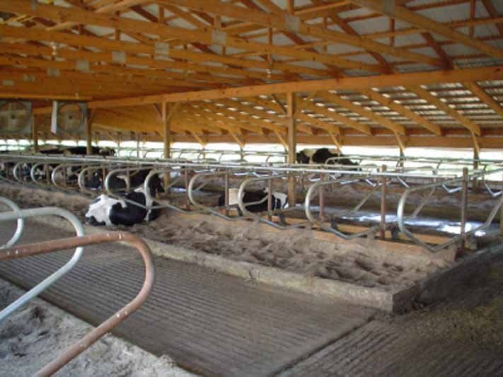 Interior view of agricultural building