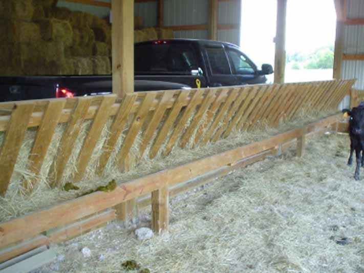 Interior view of agricultural building