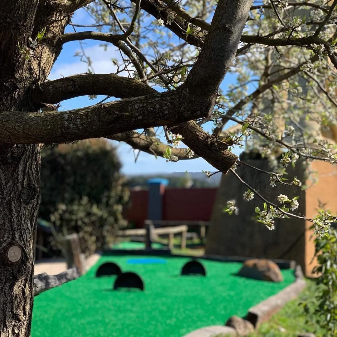 A Tree Branches Hanging Over a Green Field — Gold Rush Mini Golf in Warrenheip, VIC