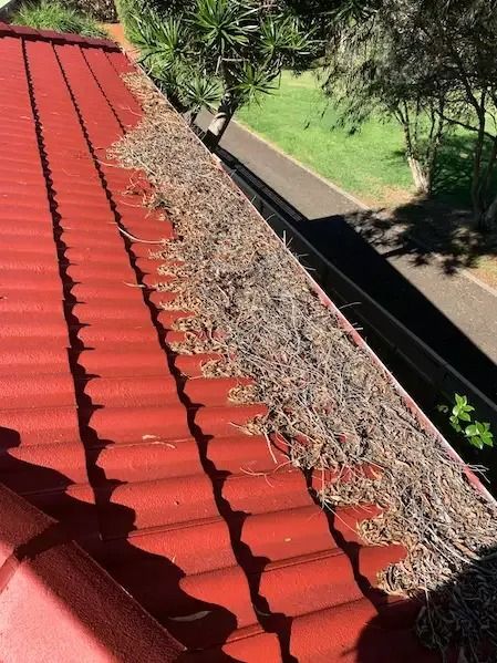 A Red Roof With A Gutter Filled With Leaves And Branches — Gutter Guard In Lake Cathie, NSW
