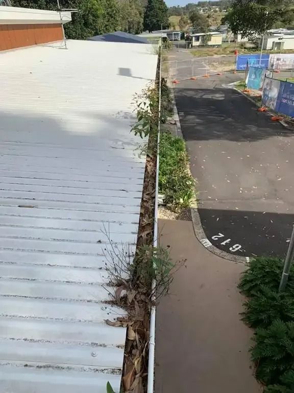 A White Roof With A Gutter That Is Covered In Leaves — Gutter Guard In Lake Cathie, NSW