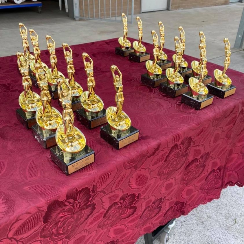 Several Gold Trophies Lined Up On A Red Table Cloth — Accolades Awards Hunter Valley In Maitland, NSW