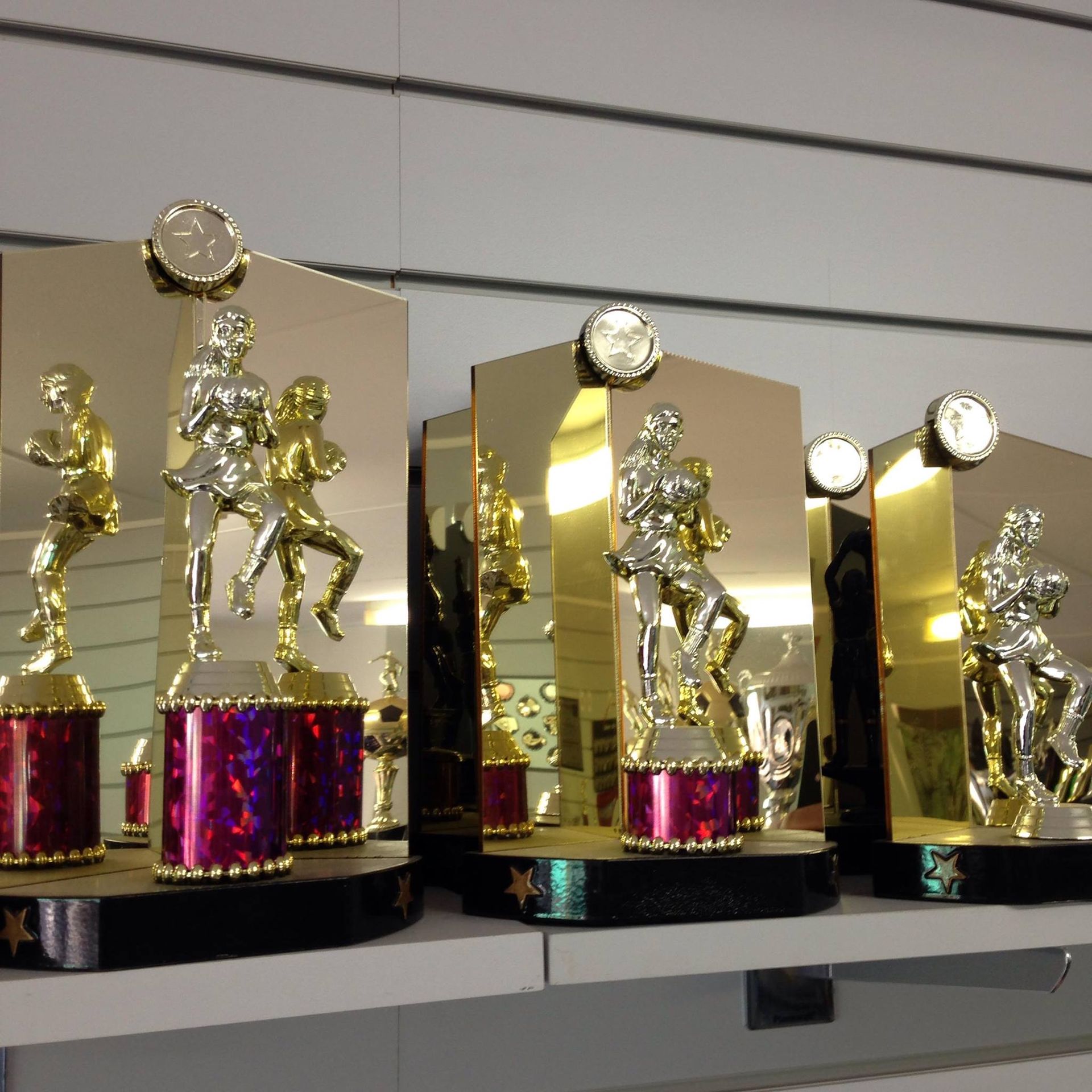 Row Of Trophies Lined Up On A Shelf — Accolades Awards Hunter Valley In Maitland, NSW