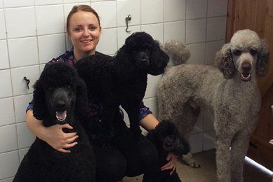 Kelly the pet groomer with pets