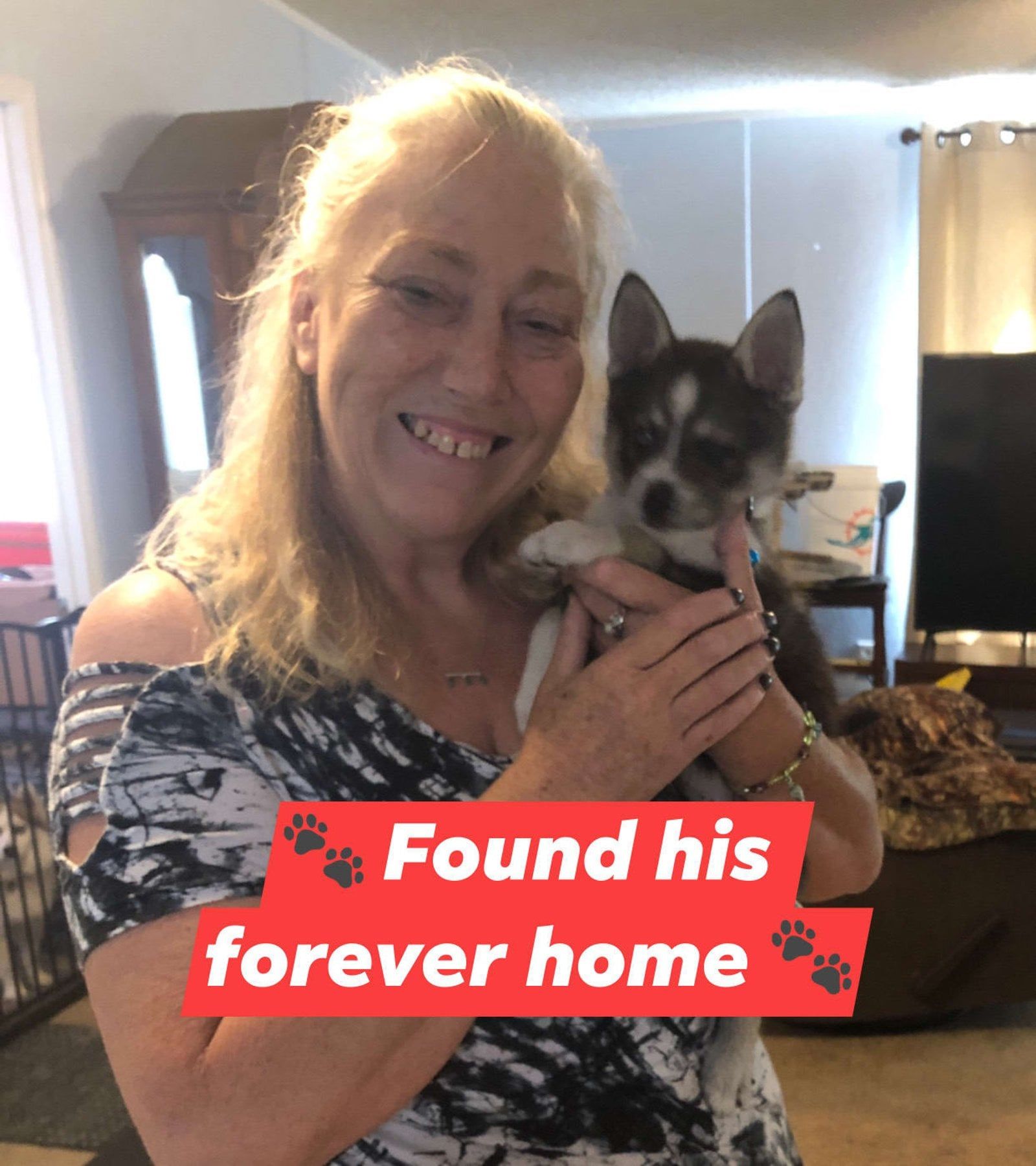 Woman smiles holding puppy, text reads 