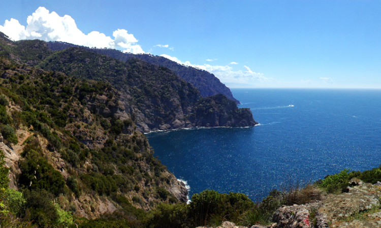 A large body of water surrounded by mountains and trees