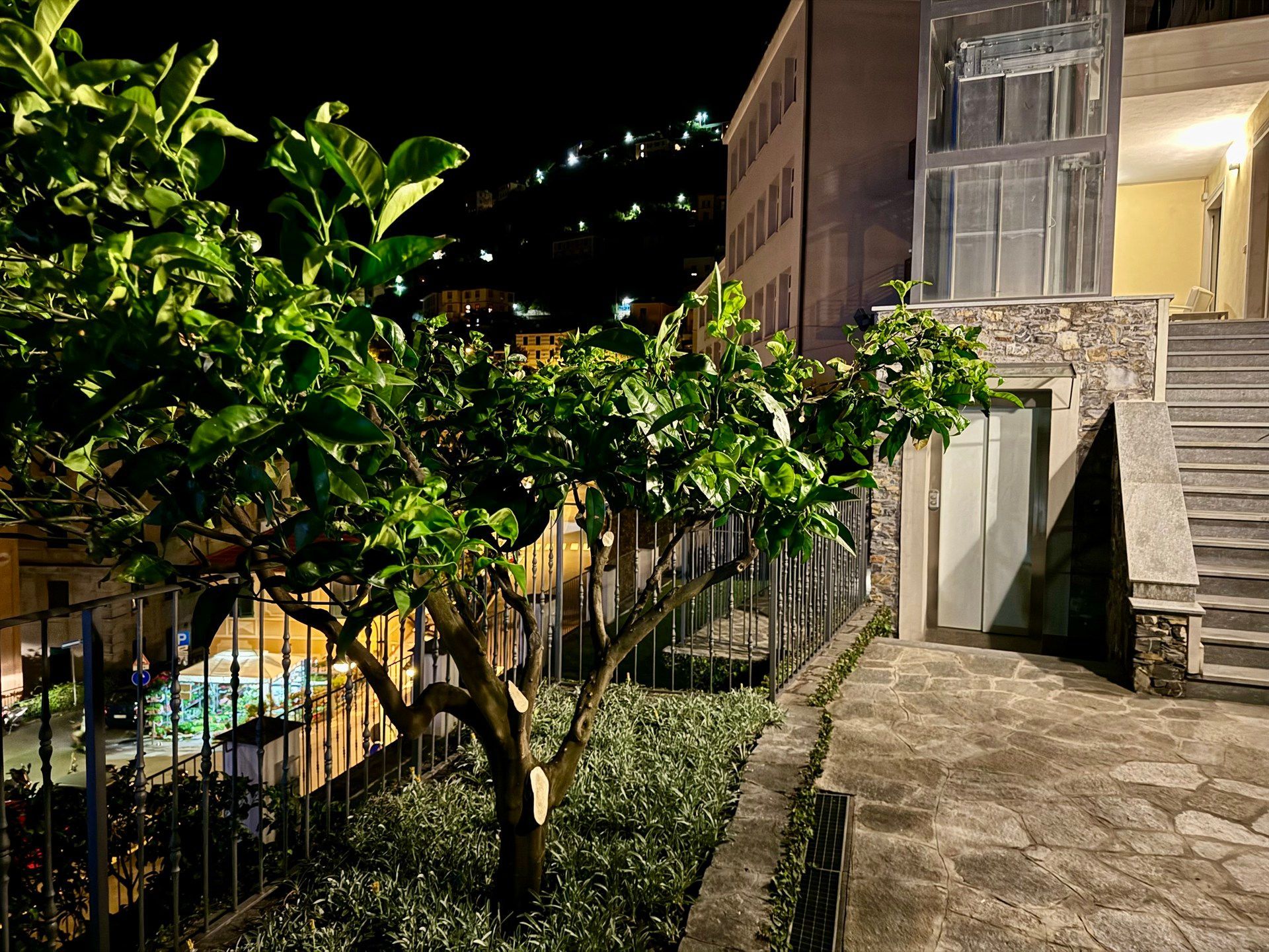 A tree with lots of leaves is in front of a building at night.