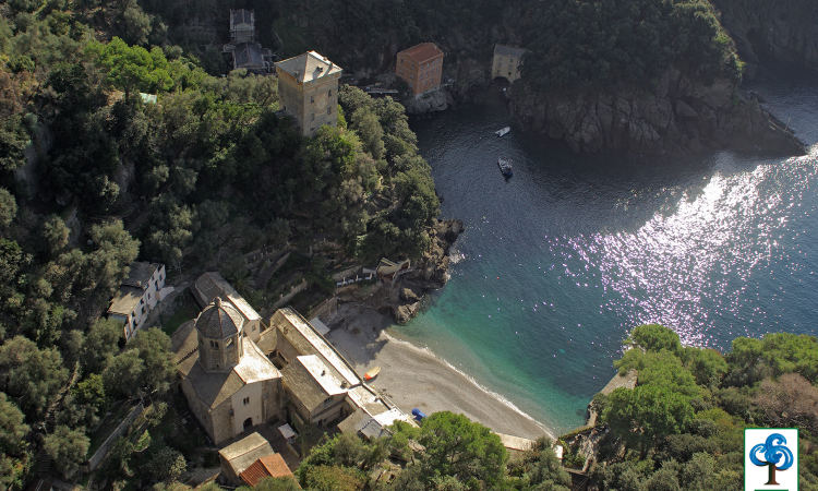 An aerial view of a small town next to a body of water