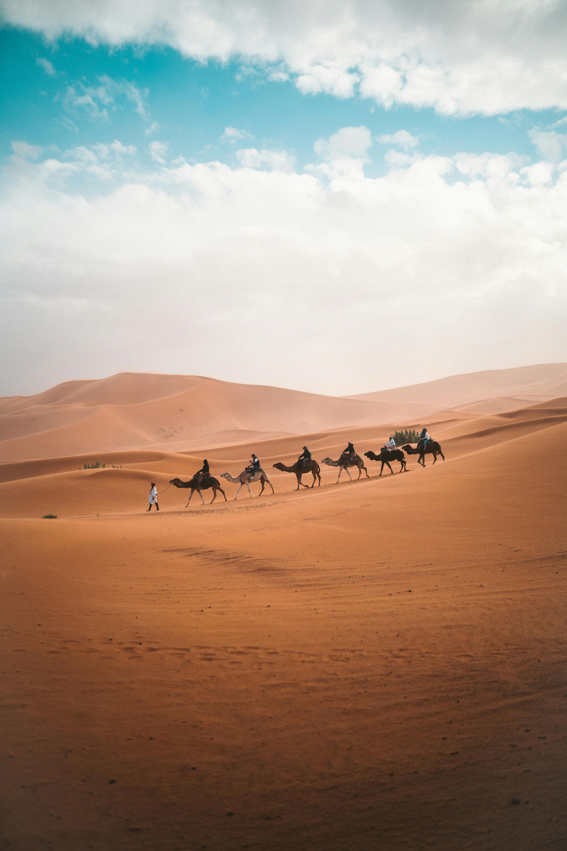 A caravan of camels with riders travels across a vast desert under a cloudy sky.