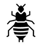 Fleas Icon