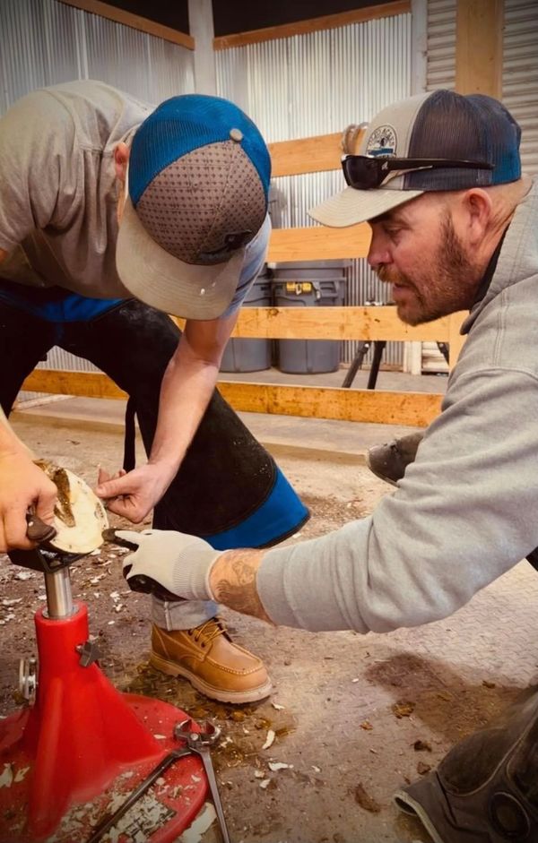 Wyoming School of Horseshoeing Learn to be a Farrier