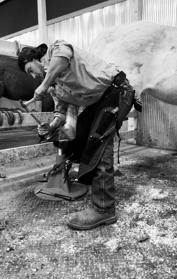 Wyoming School of Horseshoeing Learn to be a Farrier