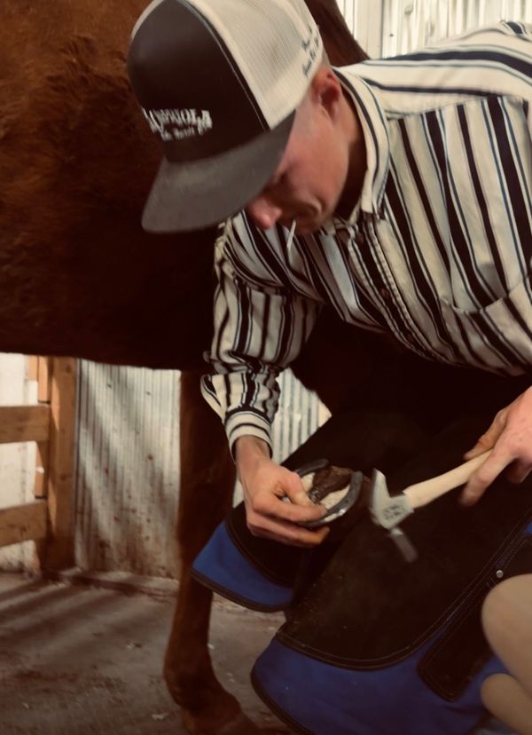Wyoming School of Horseshoeing Learn to be a Farrier