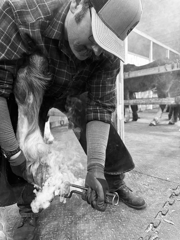 Wyoming School of Horseshoeing Learn to be a Farrier