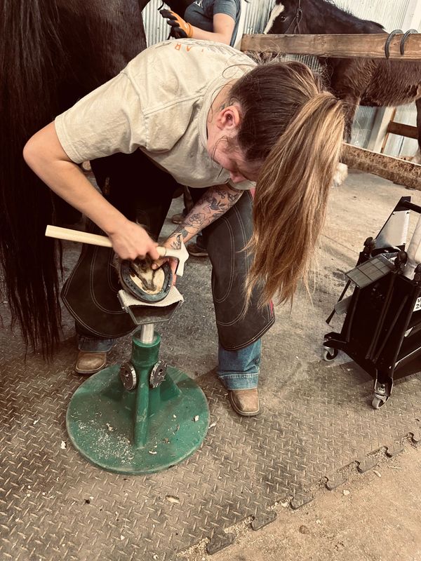 Wyoming School of Horseshoeing Learn to be a Farrier