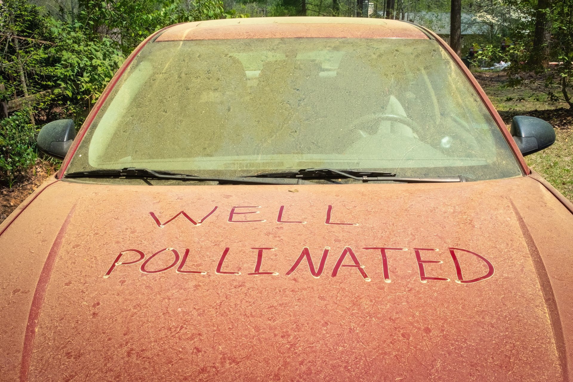 What Drivers Should Know About Pollen and Vehicle Maintenance | Auto Smart
