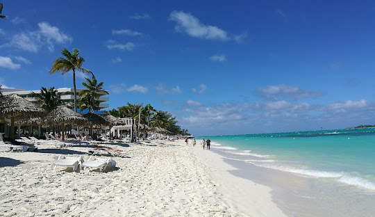 White sand beach with turquoise water and blue sky with some palm trees.