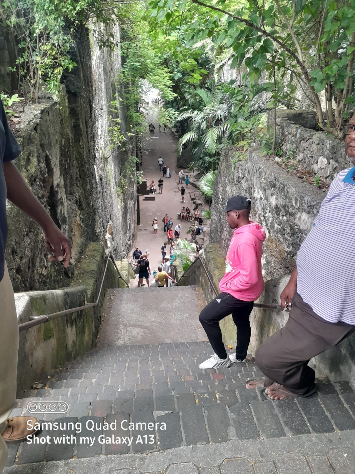 People descend stone stairs carved into rock, surrounded by trees.