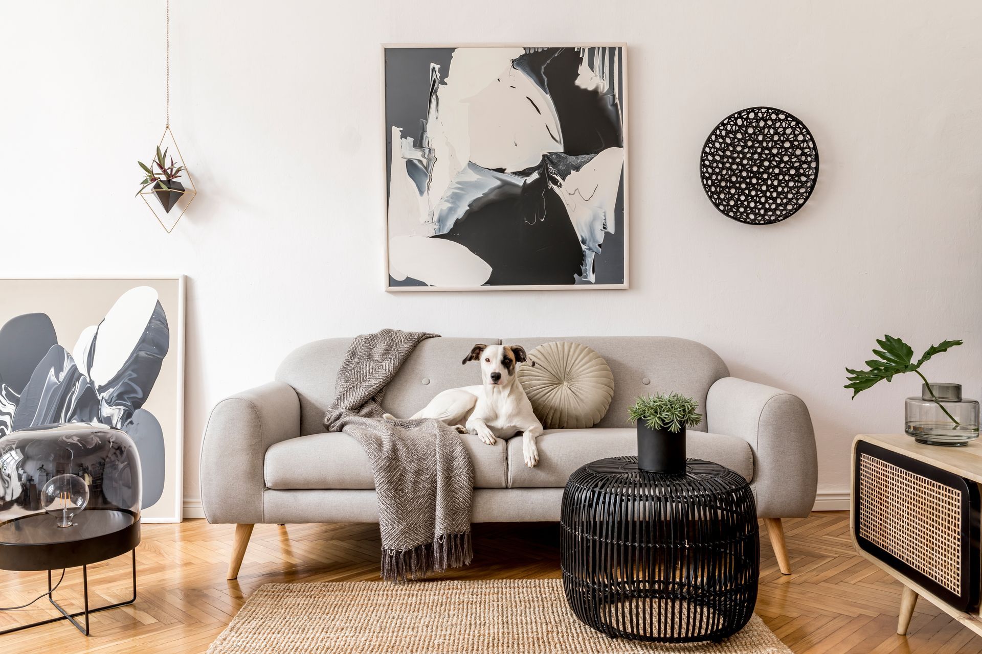 A dog is sitting on a couch in a living room.