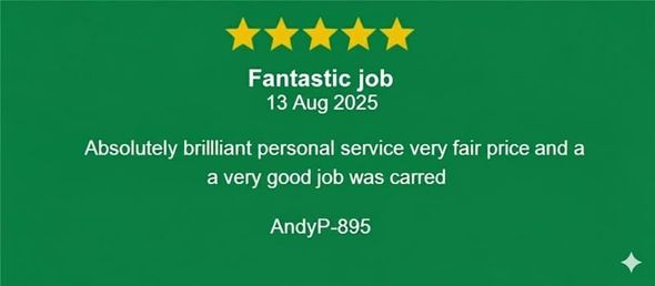 Image of a customer review 