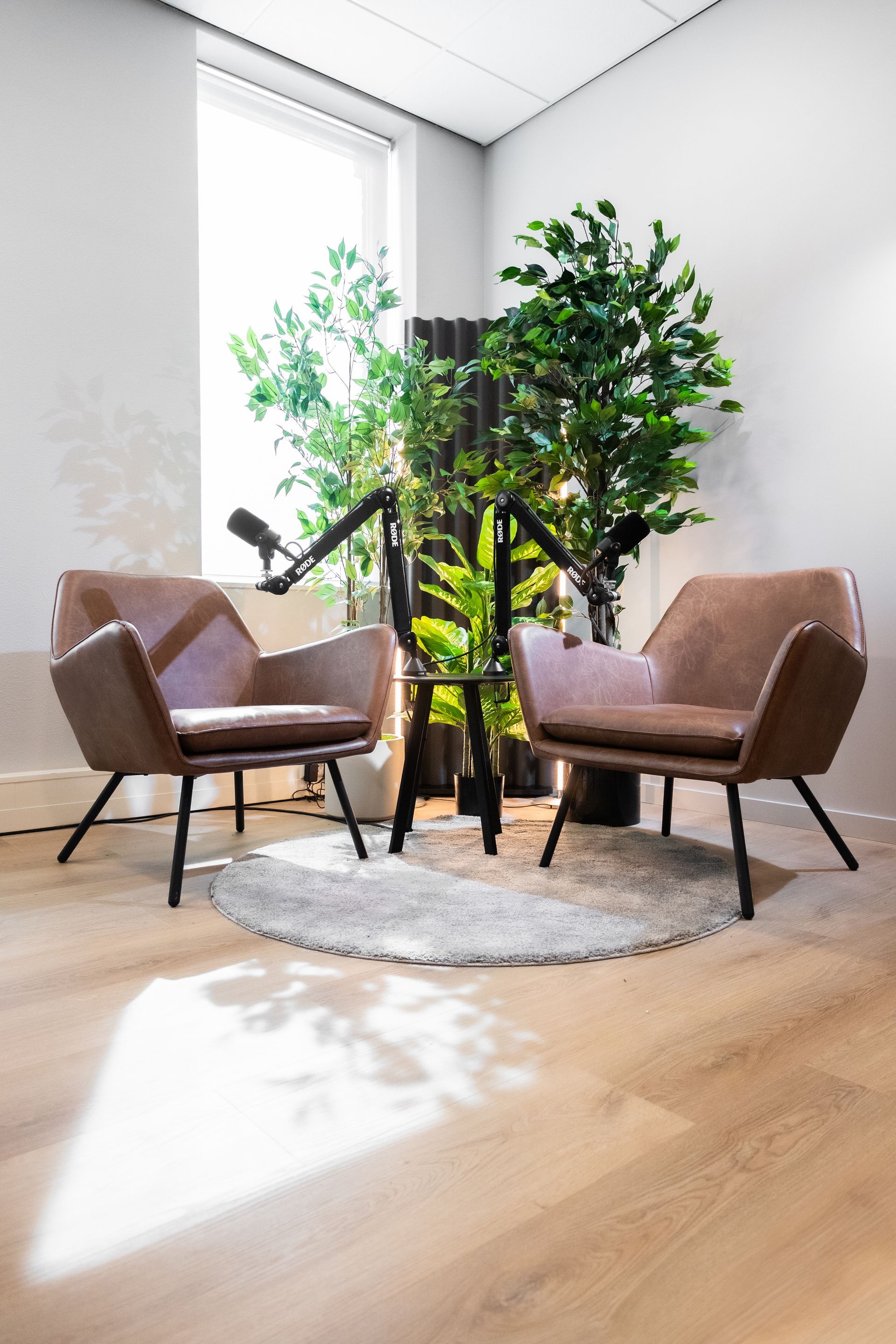 Twee bruine fauteuils staan tegenover elkaar op een kleed, met een grote plant erachter, bij een raam.