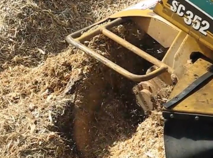 Stump Grinding in Erie, Colorado
