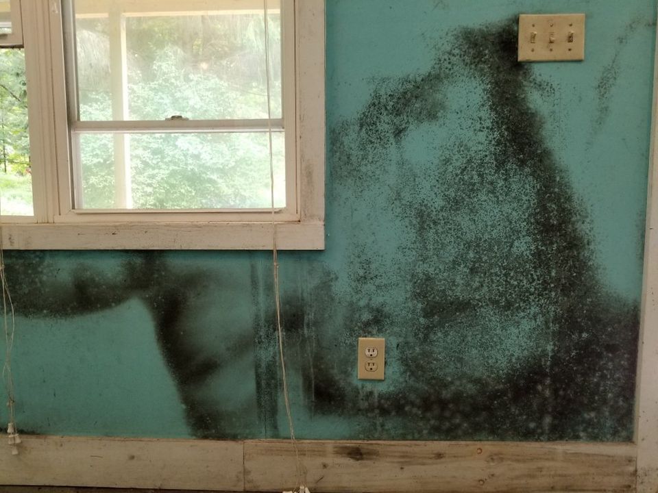 Schedule mold remediation to eliminate mold growth and keep your home safe. - Restoration 1 of Summit