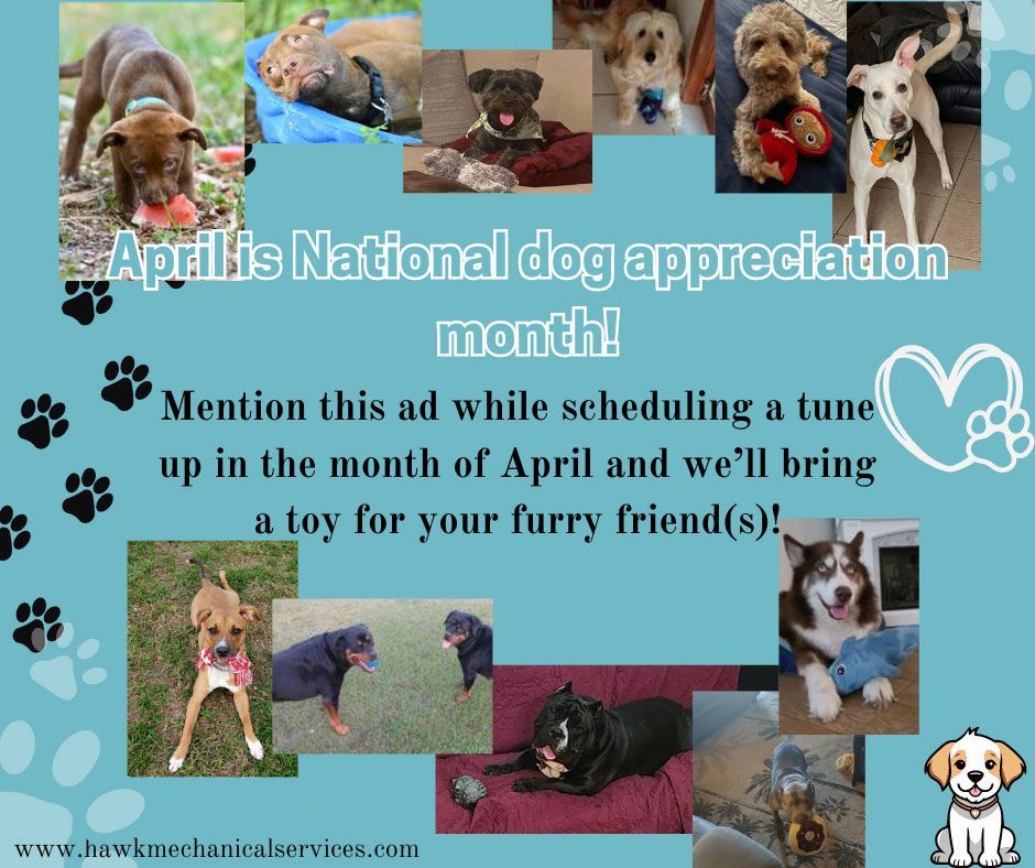 April is National dog appreciation month!