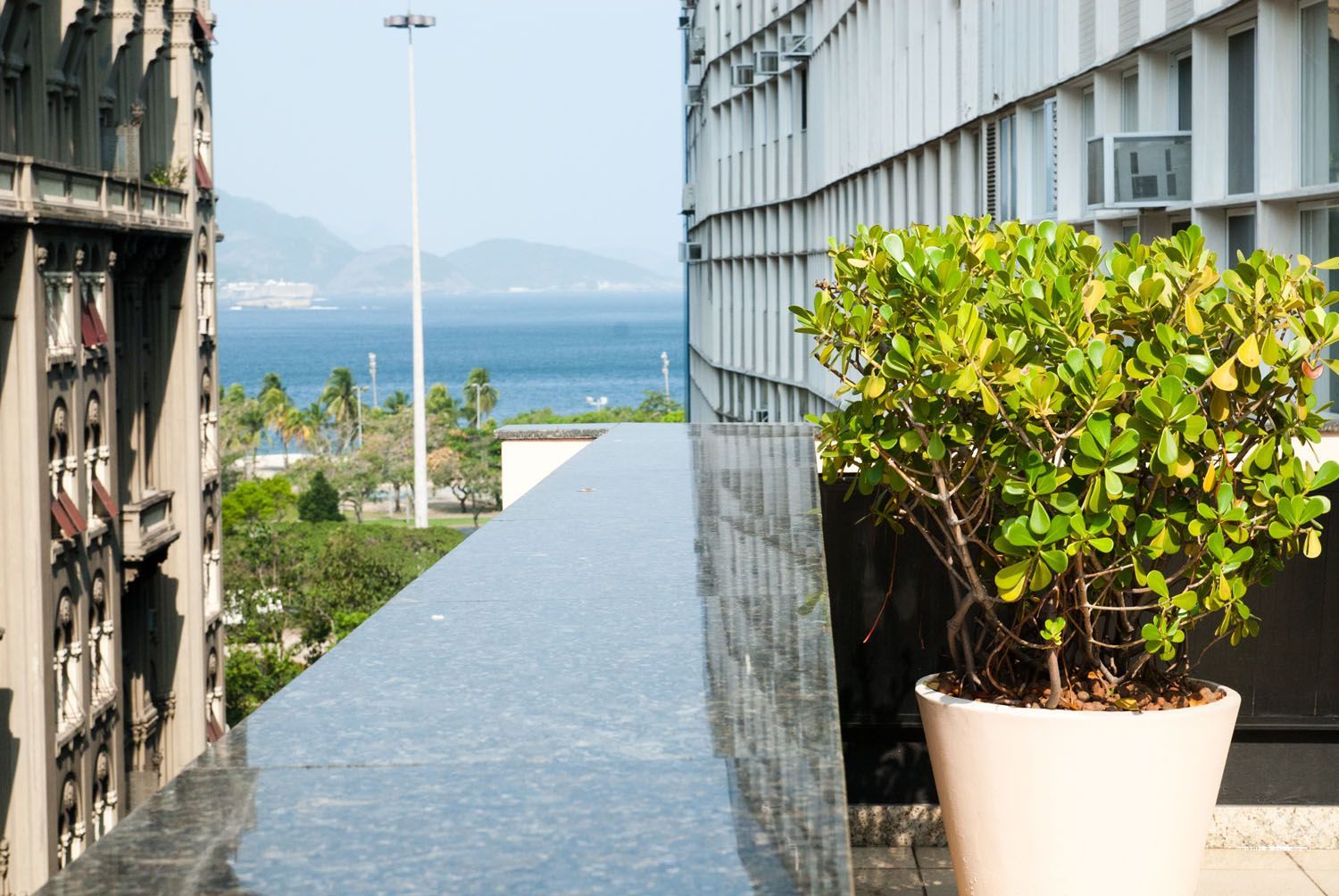Uma planta em vaso fica em uma varanda com vista para o oceano