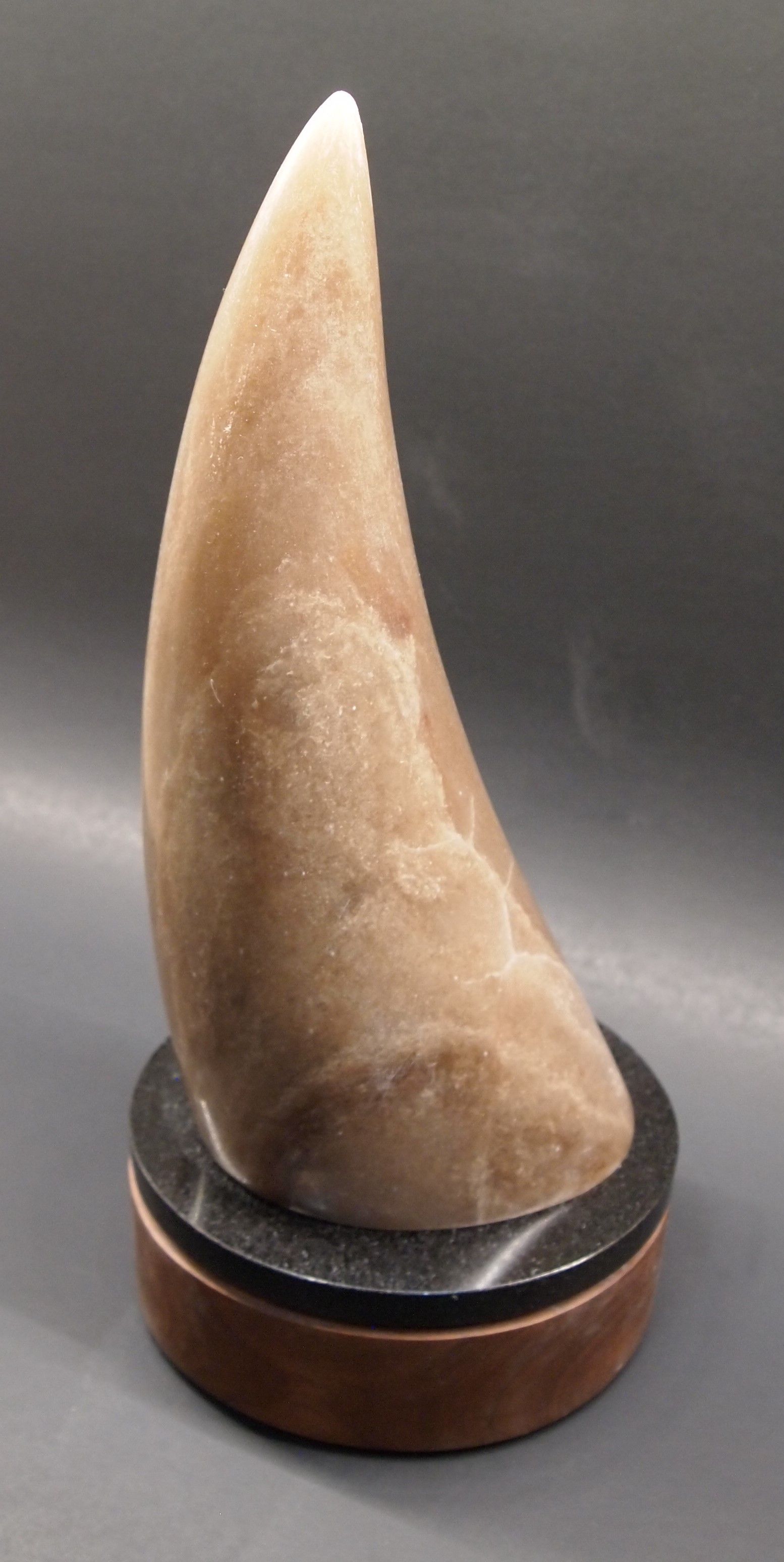 A large horn is sitting on top of a wooden base on a table.