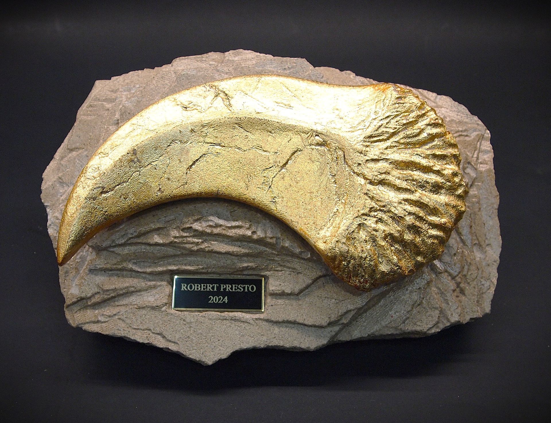 A close up of a claw on a rock