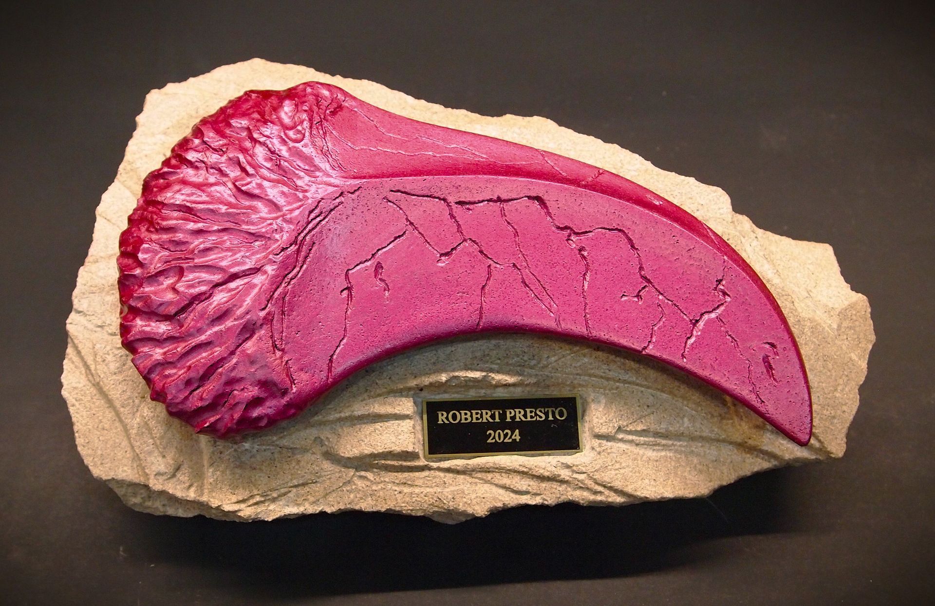 A close up of a dinosaur claw on a rock