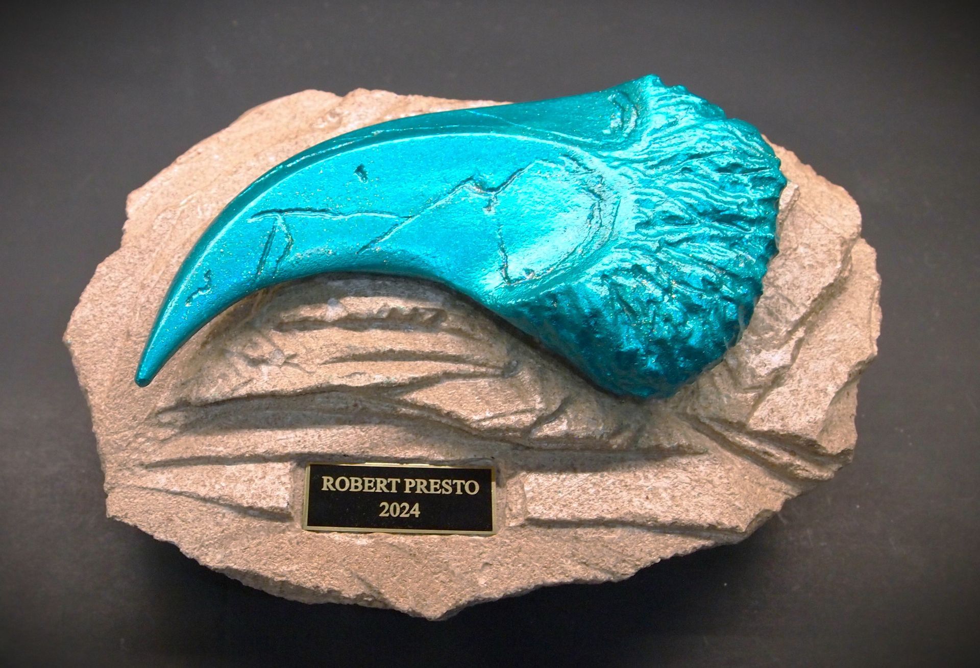 A fossil of a dinosaur claw on a rock