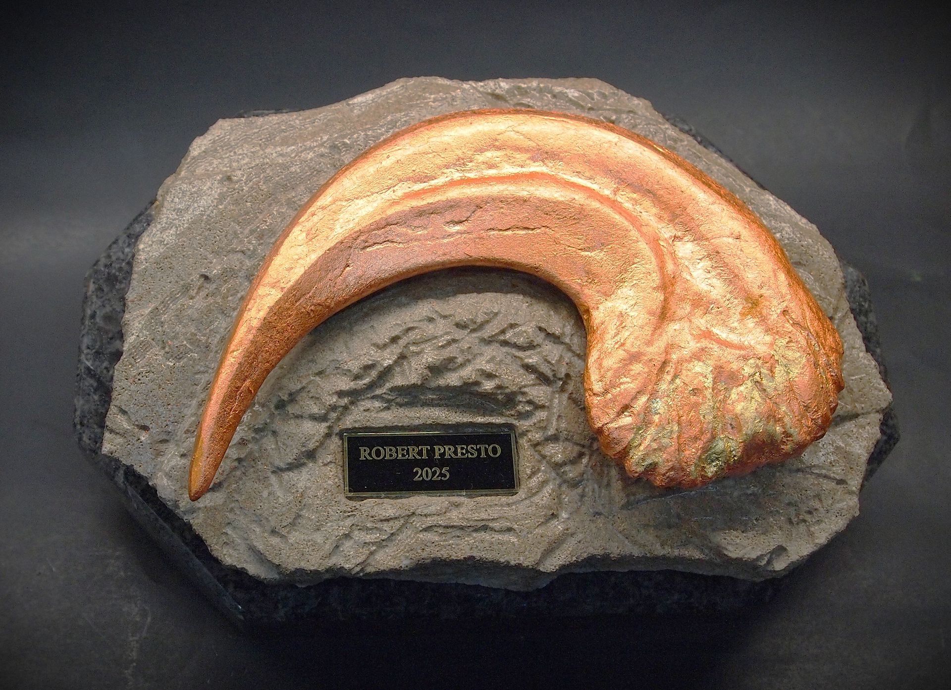 A fossil of a dinosaur claw is sitting on a rock.