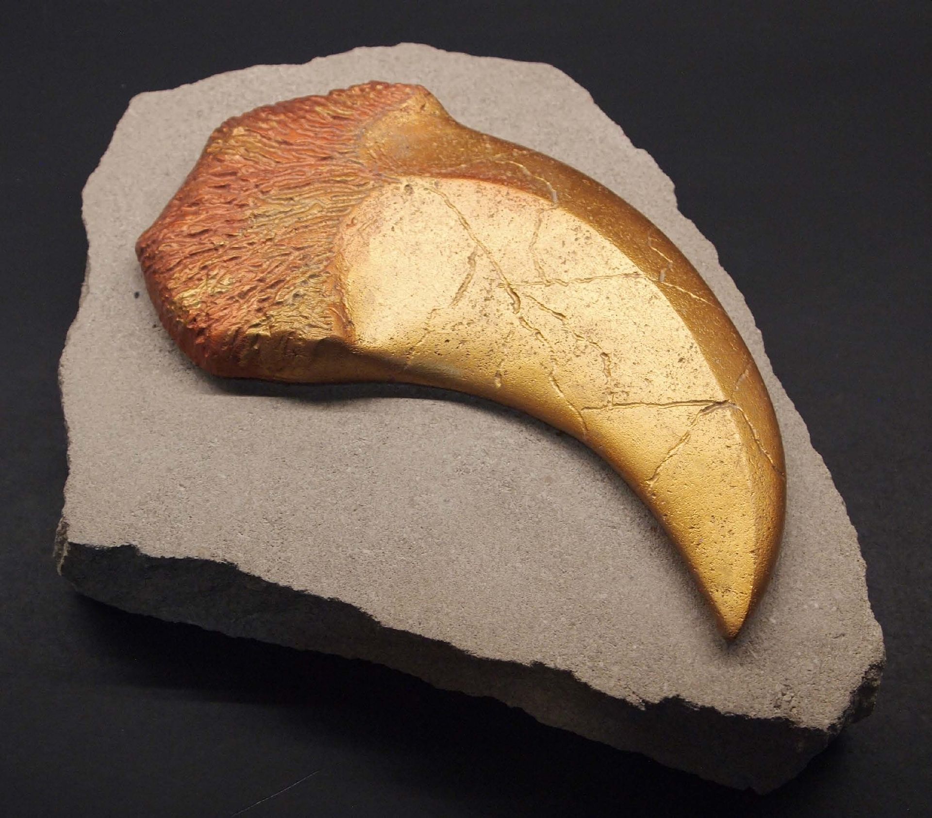 A piece of rock with a claw on it