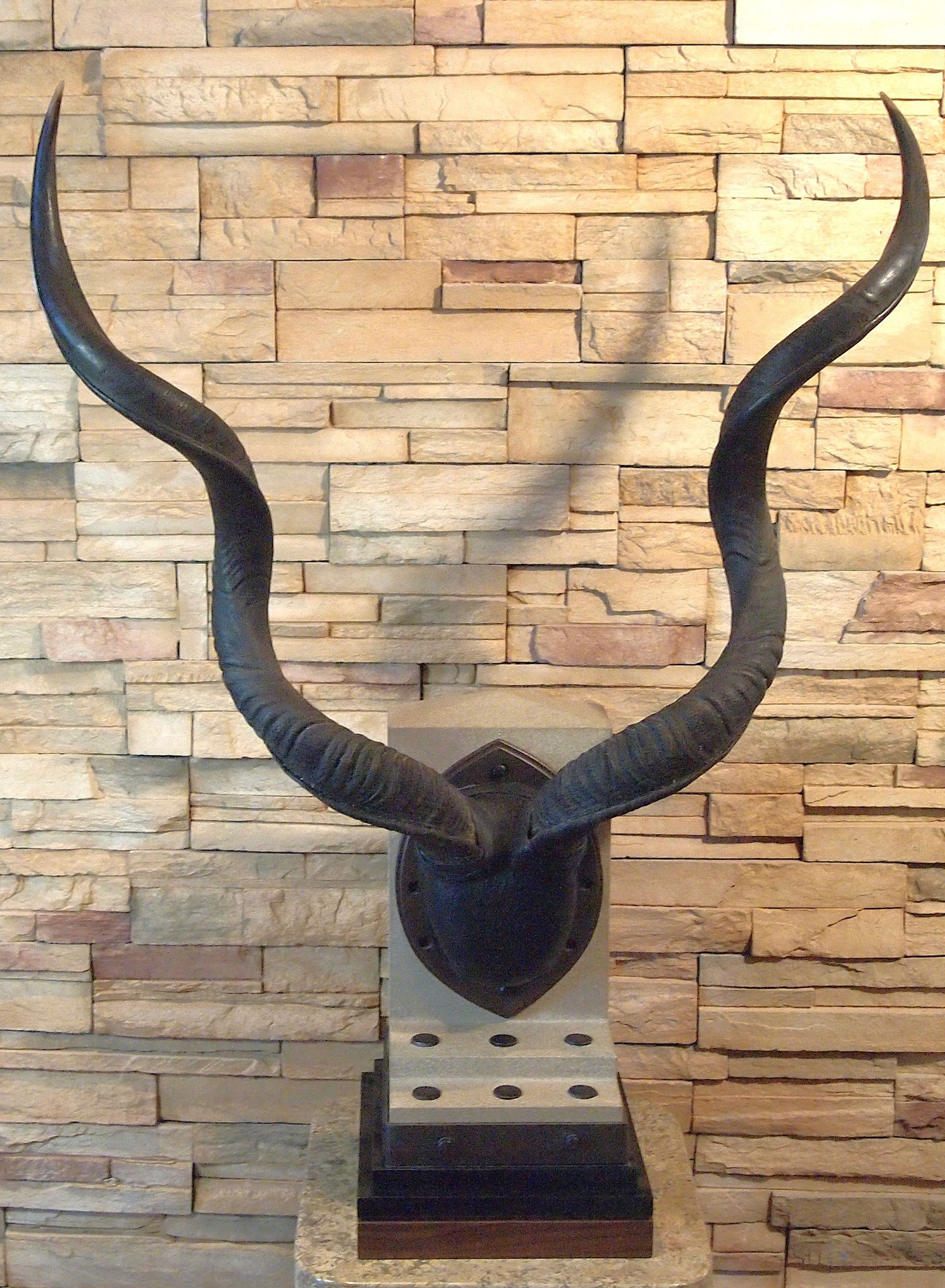 A bull 's horns are hanging on a brick wall.