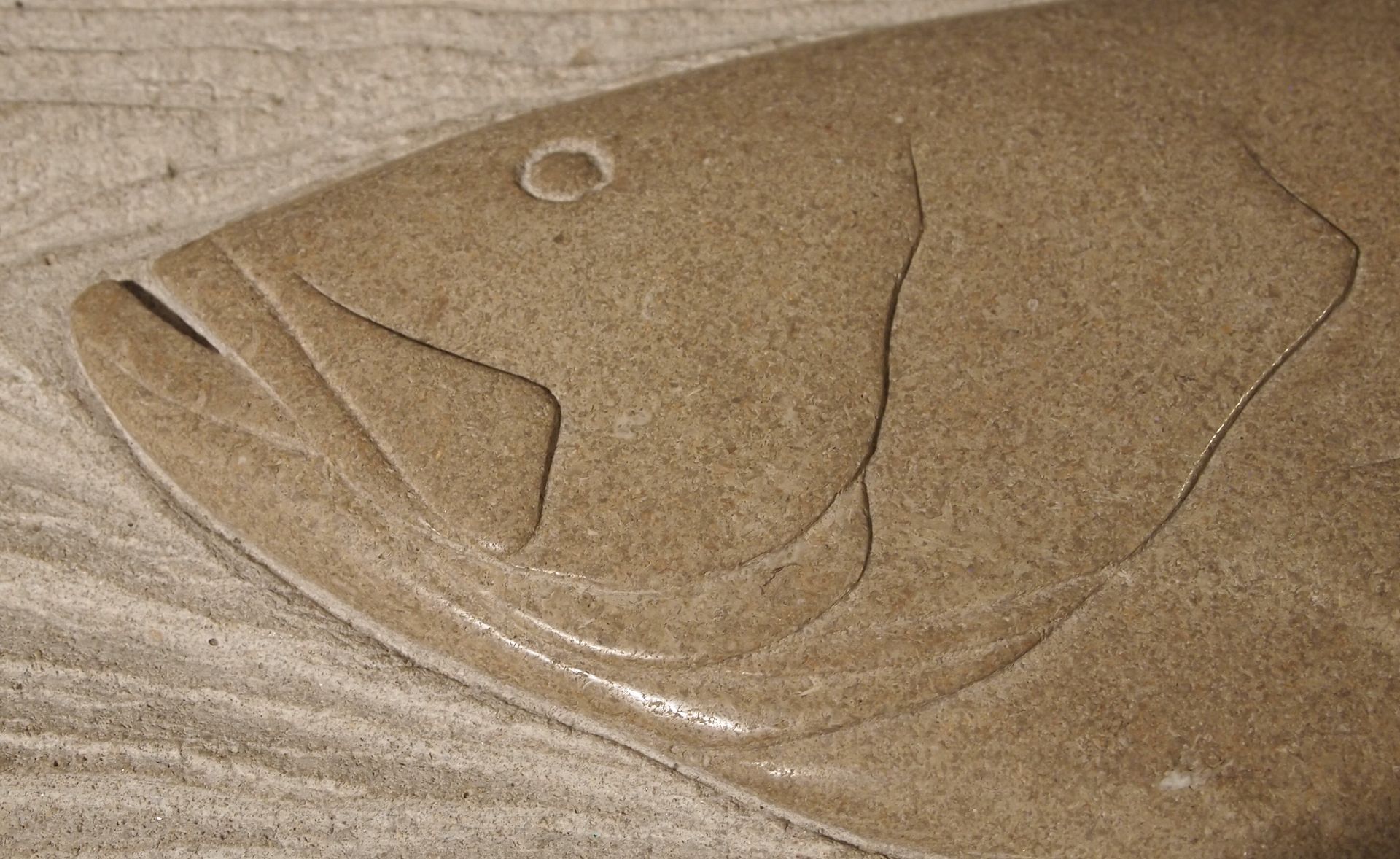 A close up of a fish 's head carved into a piece of wood.