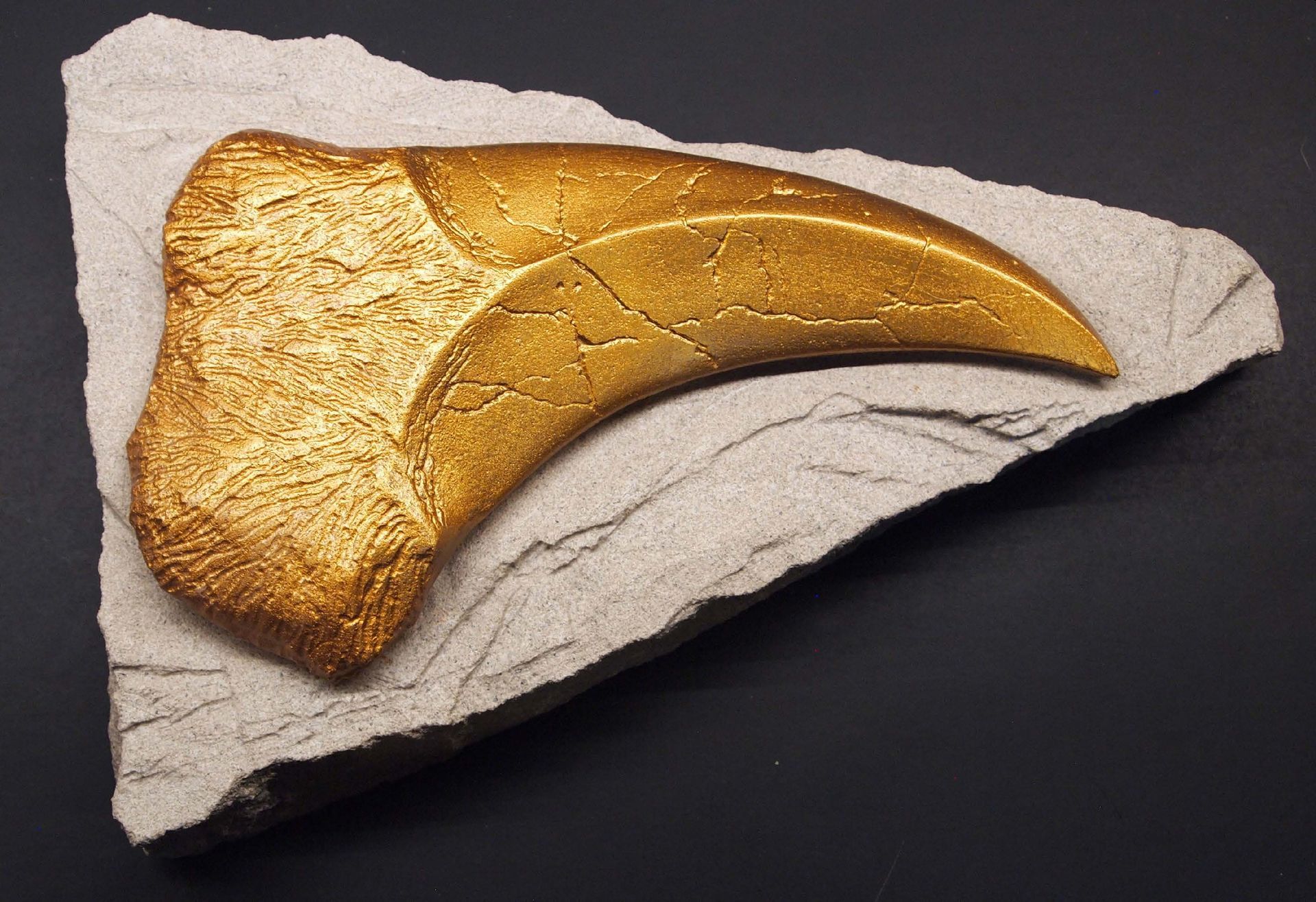 A piece of rock with a gold colored claw on it