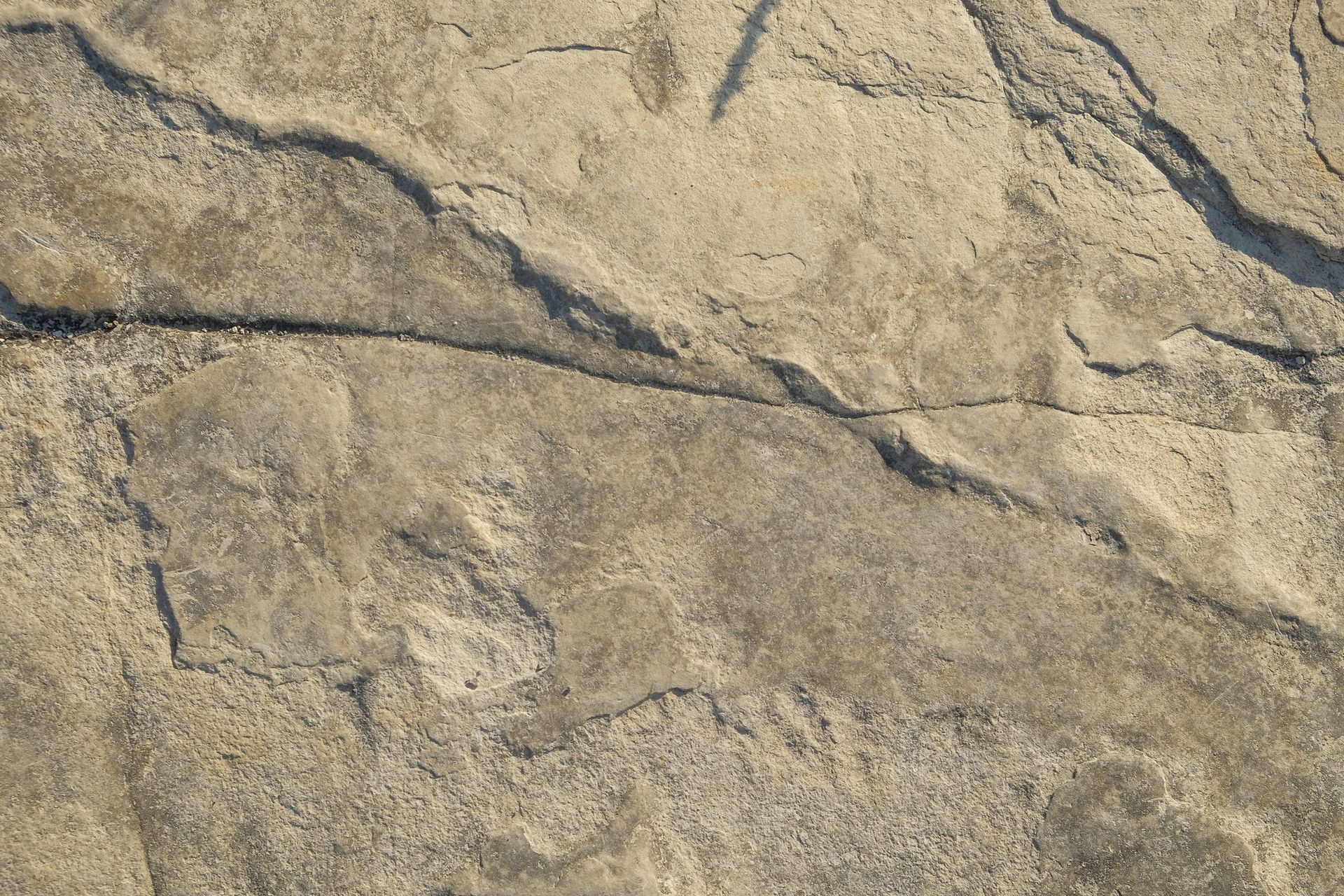 A close up of a rock texture with a shadow on it