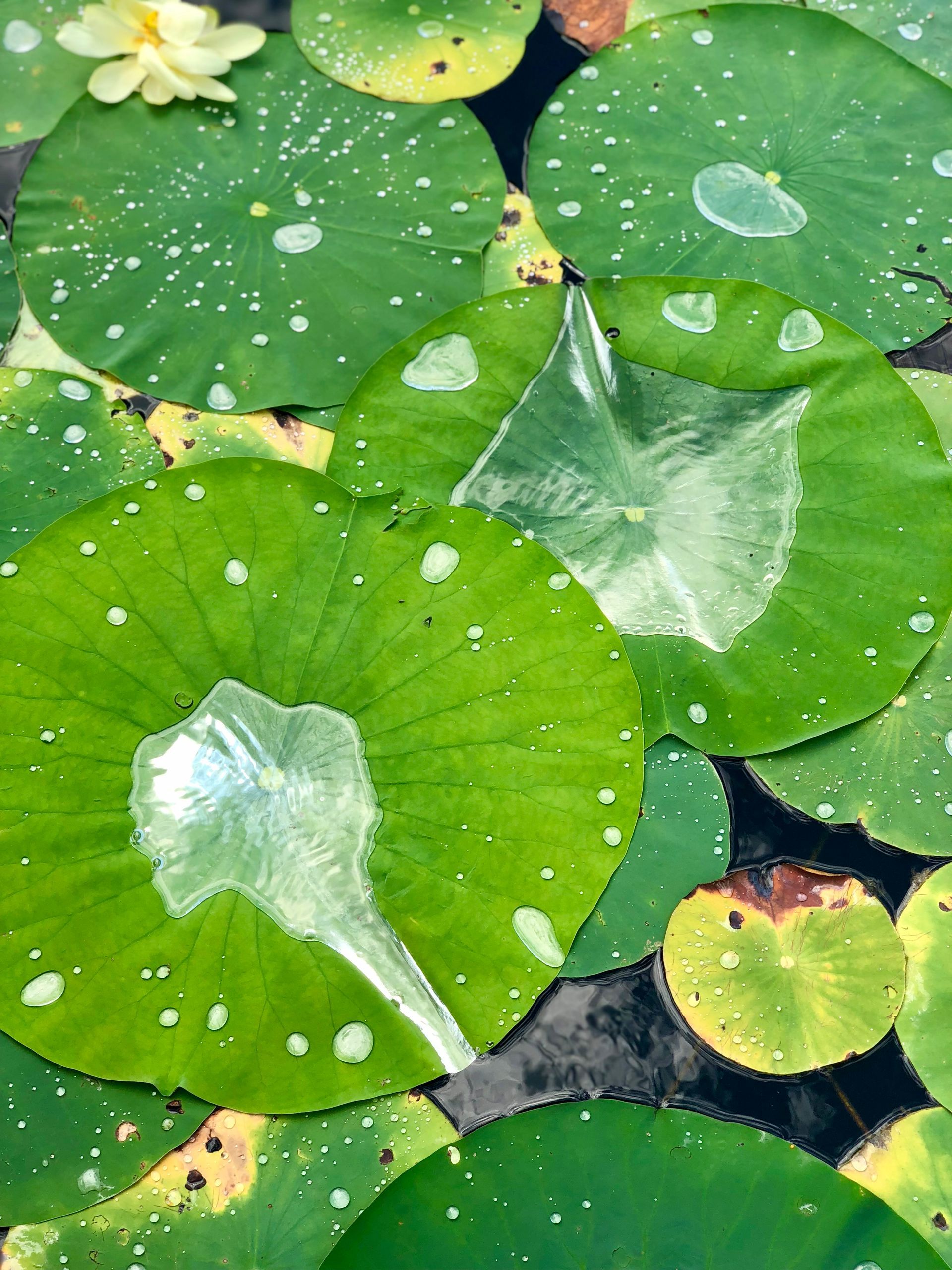 Find a New Perspective