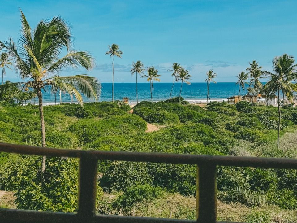 Palmeiras e arbustos verdes debruçam-se sobre uma praia ensolarada e o oceano azul, com vista para o mar a partir de um parapeito de madeira.