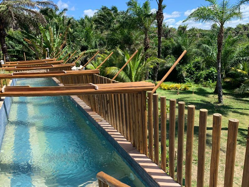 Piscinas longas e estreitas com cercas de madeira e folhagem tropical exuberante.