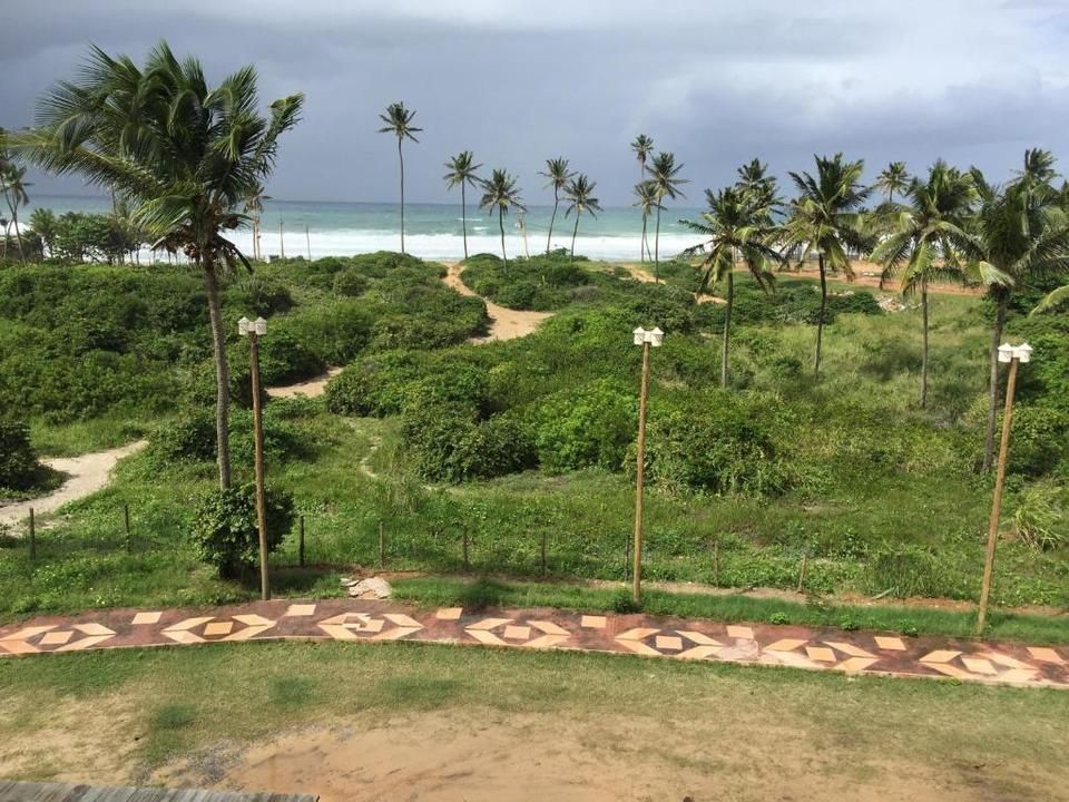 Vista costeira com palmeiras, vegetação verde, caminho e oceano sob um céu nublado.