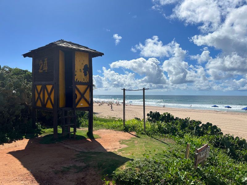 Cena de praia com um posto de salva-vidas amarelo, céu azul e oceano.