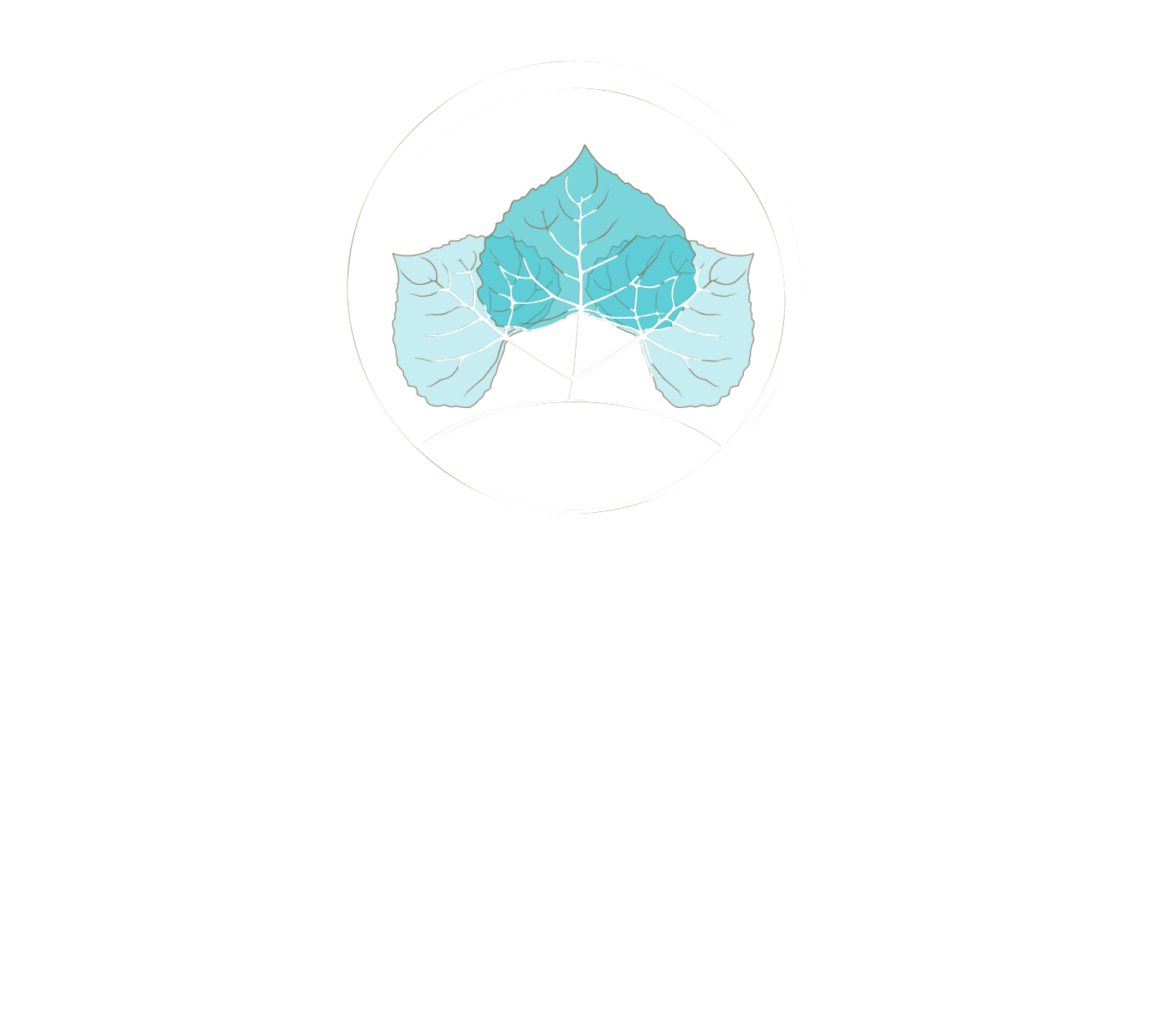 Aspen Hotel Kaleiçi, Antalya, Expandable Logo
