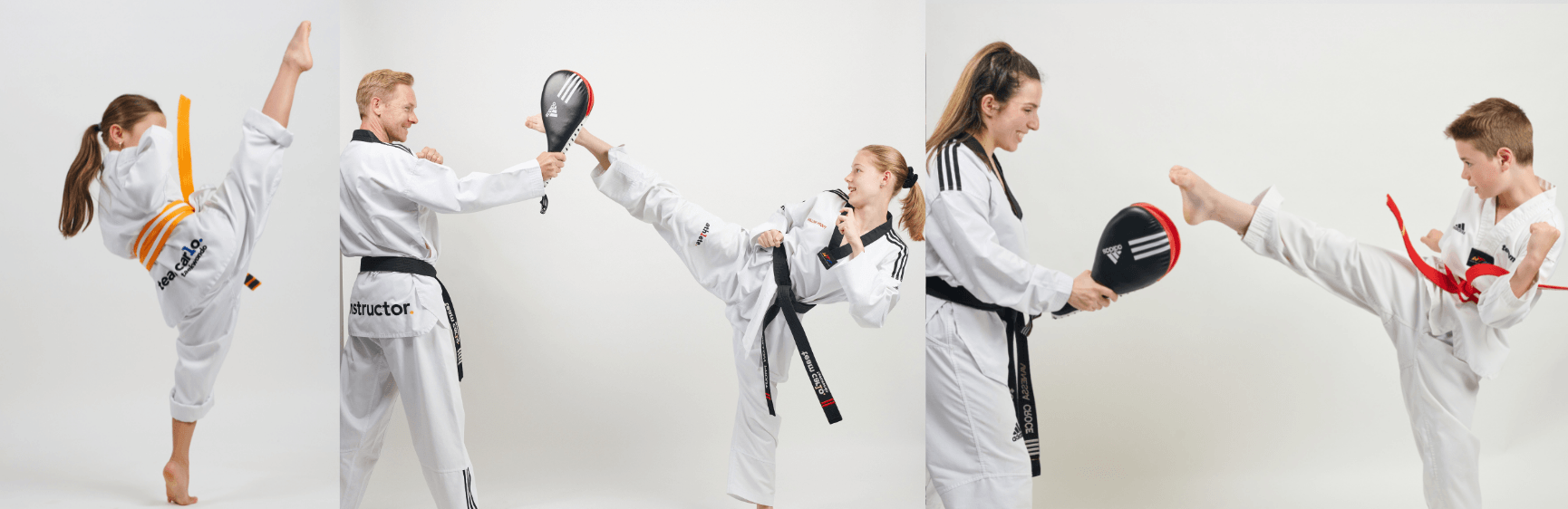 What Are The Basic Kicks In Taekwondo?