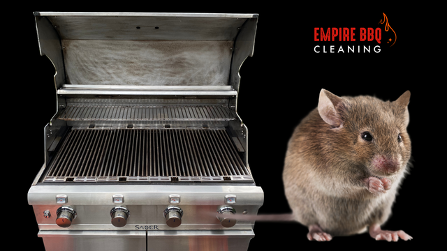 https://lirp.cdn-website.com/53512812/dms3rep/multi/opt/5+Steps+To+Keep+Mice+Out+Of+Your+Grill+%281%29-640w.png
