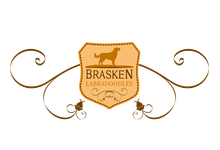 brasken kennels